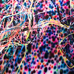 Notable Collectors — Erik Foss